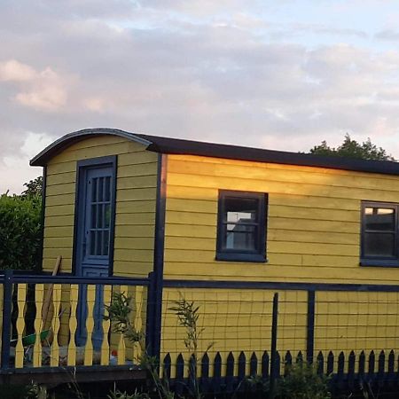 Roulotte Et Jacuzzi De Rachel Au Domaine Du Reuze Villa Winnezeele Kültér fotó